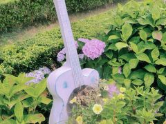 -共青国家森林公园-售票处