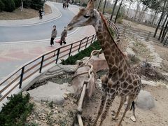 -大连森林动物园