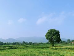 -良渚古城遗址公园