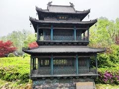 -岳阳楼景区