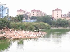 -重庆彩云湖湿地公园