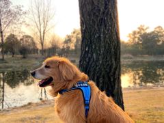 -两河城市森林公园