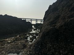 -黑石礁公园