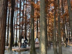 -东湖落雁景区