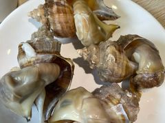蒸海螺-海味当家(西安路店)