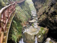 -鹿院坪生态旅游景区