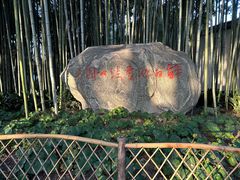 -上海醉白池公园