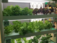 -盒马鲜生(大成店)