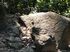 -火炉山森林公园