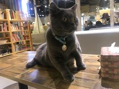 -小时光咖啡馆(开森度假森林店)