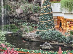 -广州白天鹅宾馆