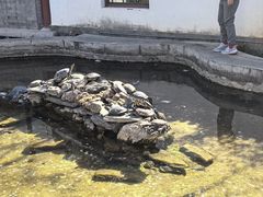 -红螺寺