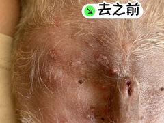 -美联众合动物医院·24h转诊中心