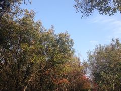 iphone_upload_pic-穹窿山景区