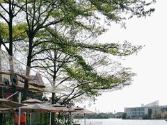 -陈鹏鹏潮汕菜(欢乐海岸 海边景观店)
