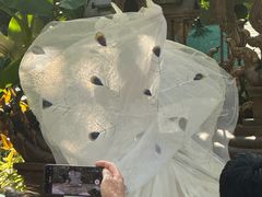 -西双版纳傣族园