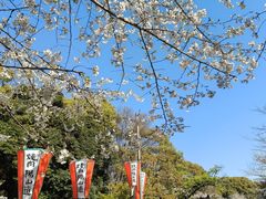 -上野公园花园稻荷神社(忍岡稲荷神社)