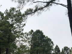 -美兰湖景区