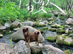 -玉渡山自然风景区