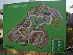 -天适樱花悠乐园