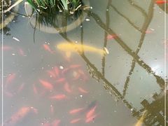 -聚缘堂·海鲜私房菜(松岭路店)