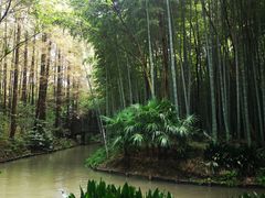 -同里国家湿地公园