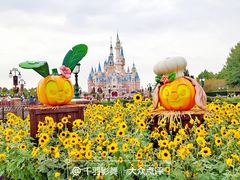 -上海迪士尼度假区