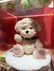 -TeddyTales莉娜熊(国贸店)