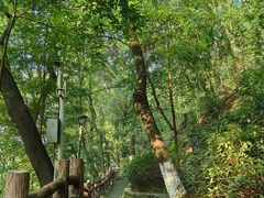 -重庆平顶山公园
