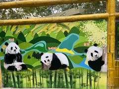 -成都动物园