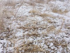 -丝绸之路山地度假区滑雪场