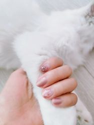 -Beauty Nails 美甲美睫皮肤管理