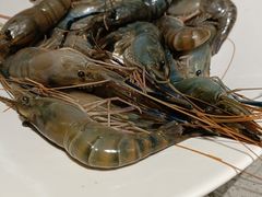 -海底捞火锅(奥森店)