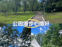 -滨河世纪广场公园