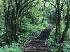 -西岭雪山大飞水景区
