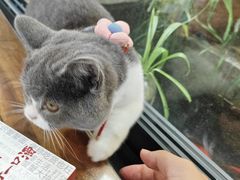 -夹夹大·蟹蟹大排档(财富又一城店)