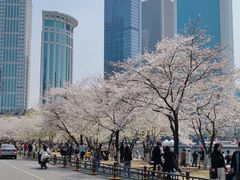 -西北湖绿化广场