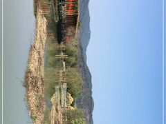 -天适樱花悠乐园