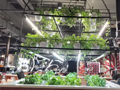 -猫爪爪原切自助烤肉(观音桥阳光世纪店)