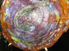 -中华赏石园