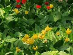 -长春公园(普阳街道)