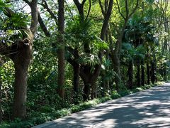 -同里国家湿地公园