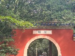 -灵谷景区