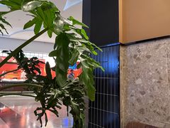 -Pennehut畔尼意面(合肥万象城店)