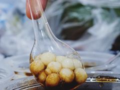 -潘玉麟糖粥