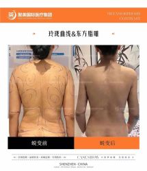 -LUNA皮相美·骨相美高级美感