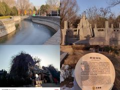 -大槐树寻根祭祖园