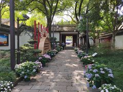 -秋霞圃