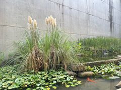 -中国湿地博物馆
