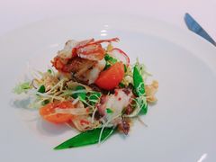 -蝶舍·MAISON PAPILLON